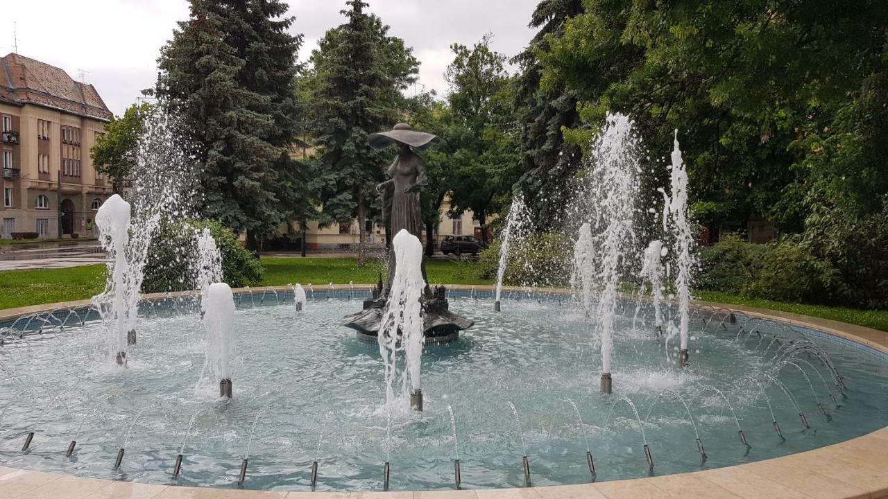 Aquarius Apartman Szegedin Exterior foto